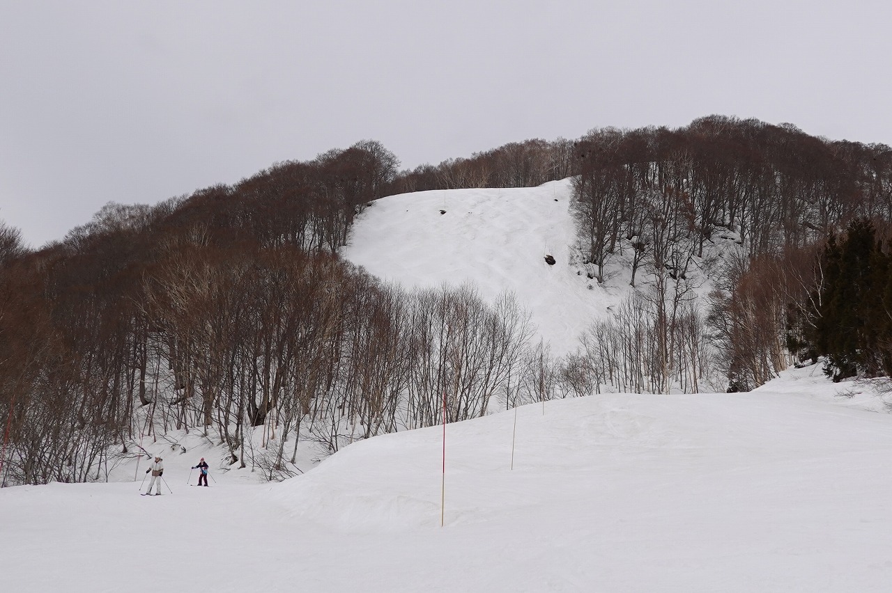 妙高杉ノ原スキー場