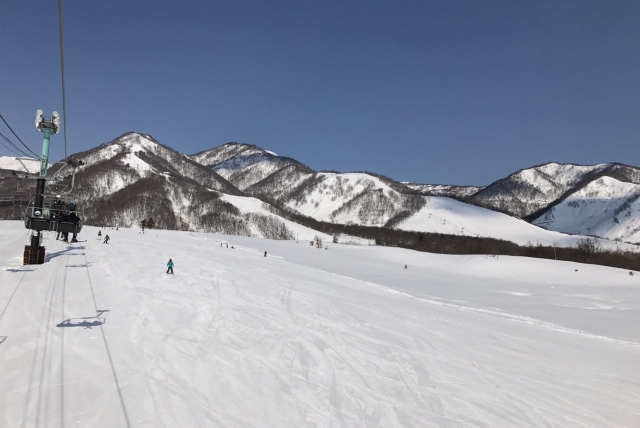 スキー場 初心者 人気ランキング スキー スノボ研究所