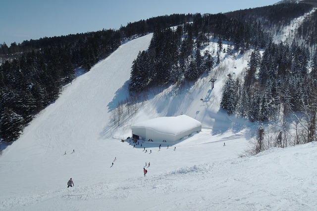 スキー場 標高差 ランキング スキー スノボ研究所