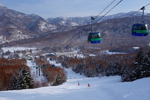 志賀 高原 スキー 場